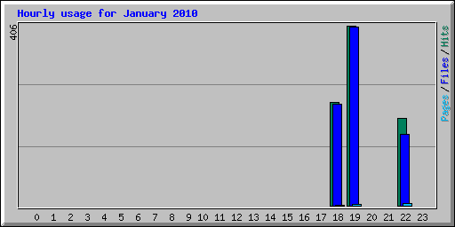Hourly usage for January 2010